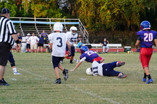 Enlarge photo 133