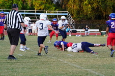 Enlarge photo 134