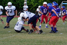 Enlarge photo 141