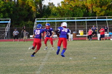 Enlarge photo 149
