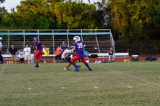 Enlarge photo 151