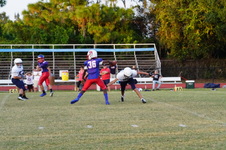 Enlarge photo 155