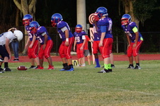 Enlarge photo 154