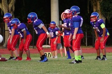 Enlarge photo 156
