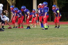 Enlarge photo 157