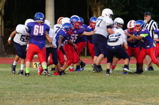 Enlarge photo 165