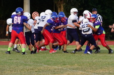 Enlarge photo 164