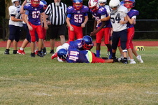 Enlarge photo 167
