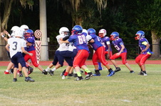Enlarge photo 174