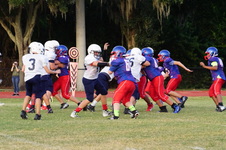 Enlarge photo 175