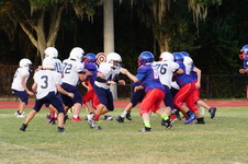 Enlarge photo 176