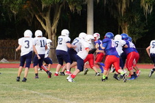 Enlarge photo 178