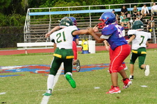 Enlarge photo 11