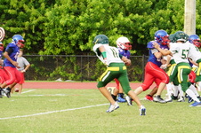 Enlarge photo 33