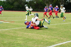 Enlarge photo 39