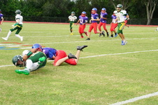 Enlarge photo 40