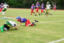 Enlarge photo 41
