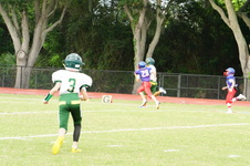 Enlarge photo 46