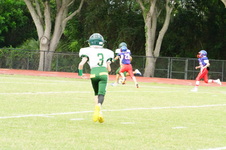 Enlarge photo 44
