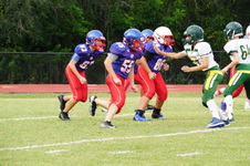 Enlarge photo 51