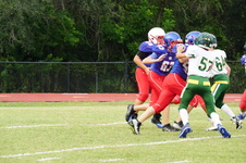 Enlarge photo 52