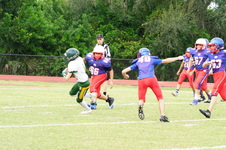 Enlarge photo 53