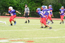 Enlarge photo 55
