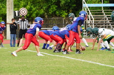 Enlarge photo 67