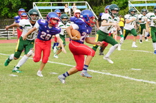 Enlarge photo 75