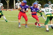 Enlarge photo 77