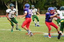 Enlarge photo 78