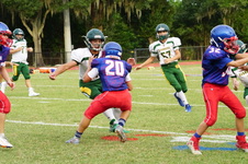 Enlarge photo 81