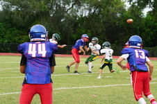Enlarge photo 90