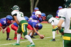 Enlarge photo 92