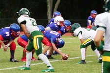 Enlarge photo 93