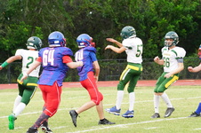 Enlarge photo 97