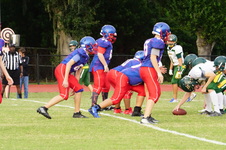 Enlarge photo 114