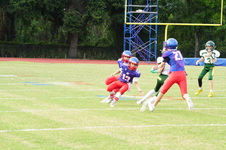 Enlarge photo 135