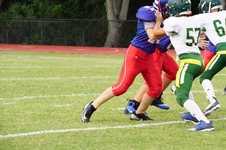Enlarge photo 149