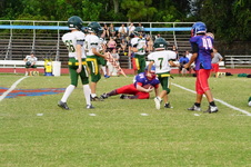 Enlarge photo 183