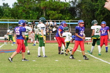 Enlarge photo 184