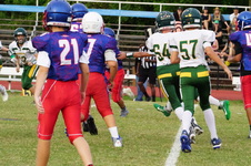 Enlarge photo 199