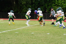 Enlarge photo 211