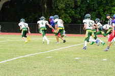 Enlarge photo 214