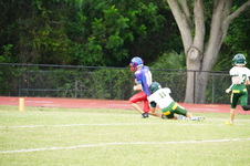 Enlarge photo 215