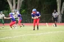 Enlarge photo 222