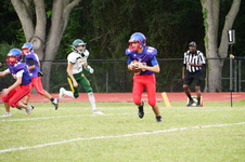 Enlarge photo 223