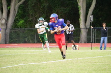 Enlarge photo 226