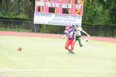 Enlarge photo 228