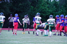 Enlarge photo 230